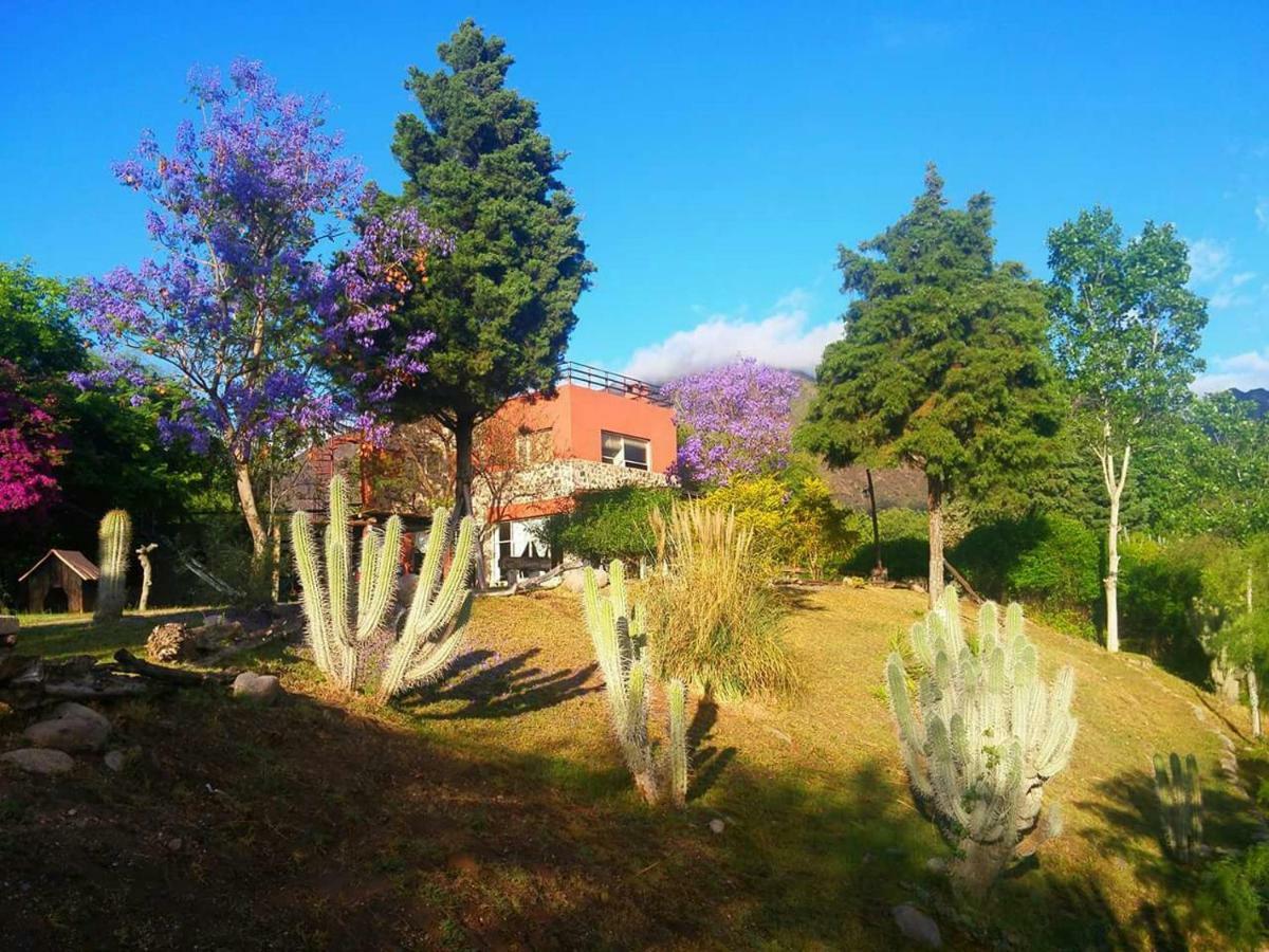 Cabanas Altos Del Velazco Ла-Риоха Экстерьер фото